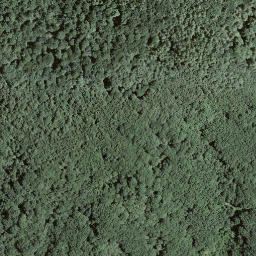 Satellite imagery of Forcola, CH