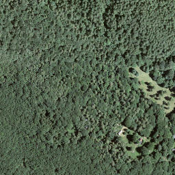 Satellite imagery of Forcola, CH