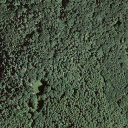 Satellite imagery of Montaccio, CH