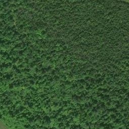 Satellite imagery of J 294 — NGS RJ0653 — Detour Township, US, US
