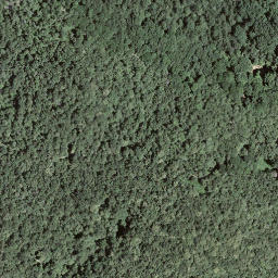 Satellite imagery of Monte Rogoria, CH