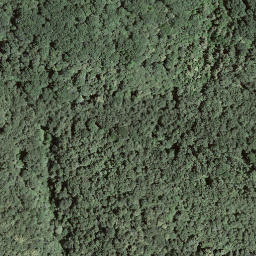 Satellite imagery of Monte Rogoria, CH