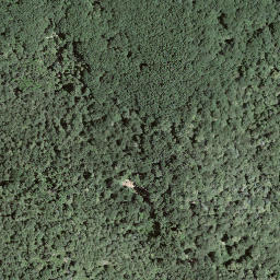Satellite imagery of Monte Rogoria, CH