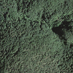 Satellite imagery of Monte Brè, CH