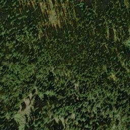 Satellite imagery of West Fork Point, US