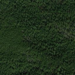 Satellite imagery of Lutz Mine, US