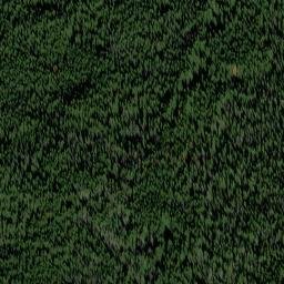 Satellite imagery of Lutz Mine, US