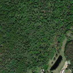 Satellite imagery of FLOWERS — NGS QK0042 — Clark Township, US, US