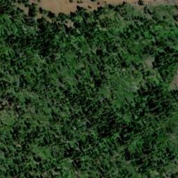 Satellite imagery of Grizzly Bear Ridge, US