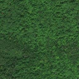Satellite imagery of G 294 — NGS QK0394 — Detour Township, US, US