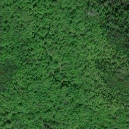 Satellite imagery of G 294 — NGS QK0394 — Detour Township, US, US