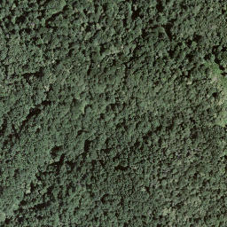 Satellite imagery of I Mundínn, CH