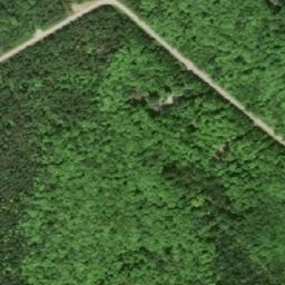 Satellite imagery of Maple Point, CA