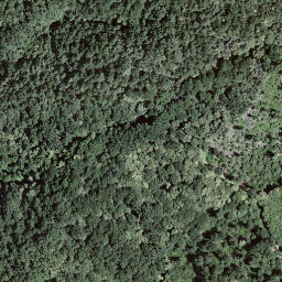 Satellite imagery of I Mundínn, CH