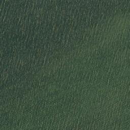 Satellite imagery of Johnson Point, CA