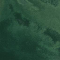 Satellite imagery of Maple Point, CA