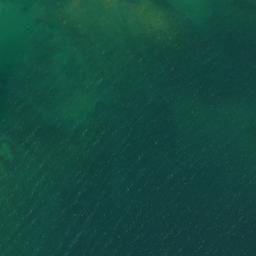 Satellite imagery of Cadogan Point, US