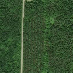 Satellite imagery of Maple Bluff, CA