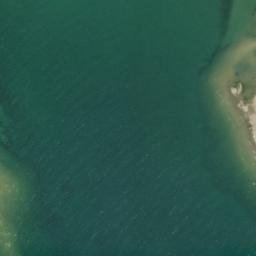 Satellite imagery of ALBANY — NGS QK0559 — Detour Township, US, US