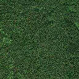 Satellite imagery of Maple Bluff, CA