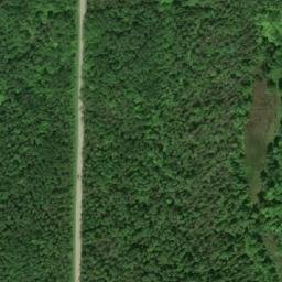 Satellite imagery of Maple Bluff, CA