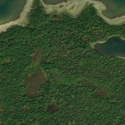 Satellite imagery of West Point, CA