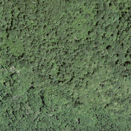 Satellite imagery of 19, IT