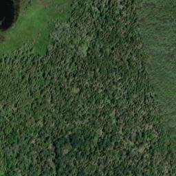 Satellite imagery of Wisner Point, US