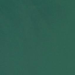 Satellite imagery of Rice Point, US