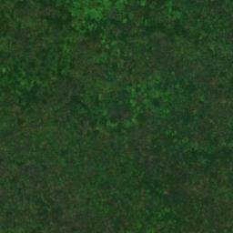 Satellite imagery of Meldrum Point, CA