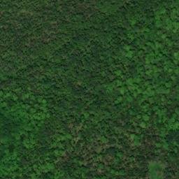 Satellite imagery of Chamberlain Point, CA