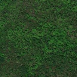 Satellite imagery of Chamberlain Point, CA