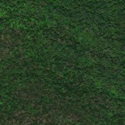 Satellite imagery of Chamberlain Point, CA