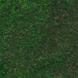 Satellite imagery of Chamberlain Point, CA
