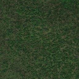 Satellite imagery of Chamberlain Point, CA