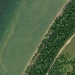 Satellite imagery of Gorrel Point, CA