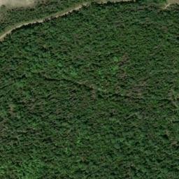 Satellite imagery of Scammon Point, US