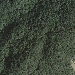 Satellite imagery of Monte Sant'Agata, CH