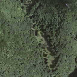 Satellite imagery of Monte Sant'Agata, CH