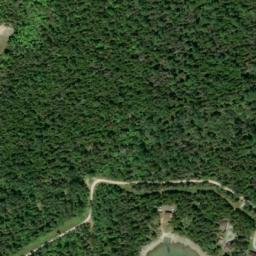 Satellite imagery of Scammon Point, US