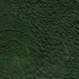 Satellite imagery of Yew Ridge, US