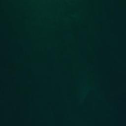 Satellite imagery of Seamans Point, US