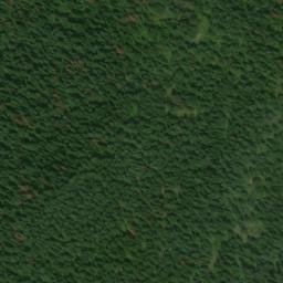 Satellite imagery of Yew Ridge, US