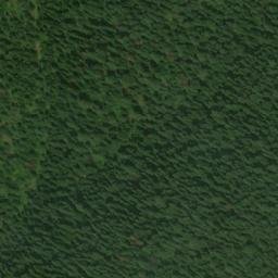 Satellite imagery of Yew Ridge, US