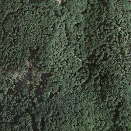 Satellite imagery of Monte San Giorgio, CH
