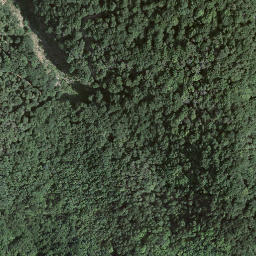 Satellite imagery of Monte San Giorgio, CH