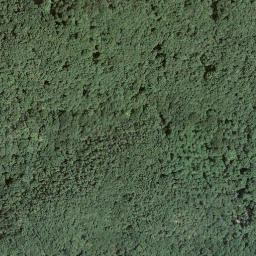 Satellite imagery of Monte San Giorgio, CH