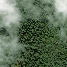 Satellite imagery of Dent Ridge, US