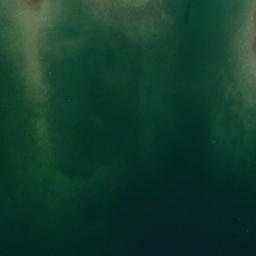 Satellite imagery of Long Point, US