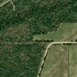 Satellite imagery of Tamarack Point, CA